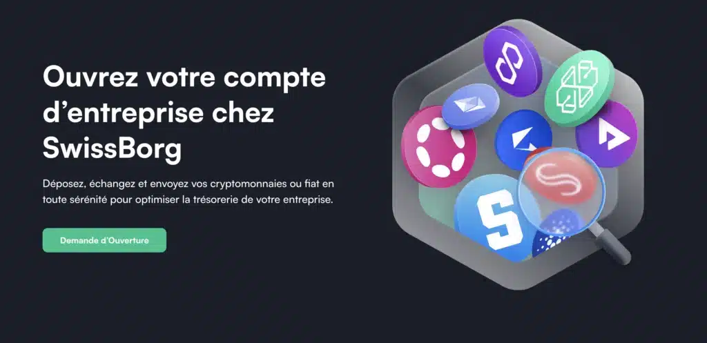 Swissborg entreprise